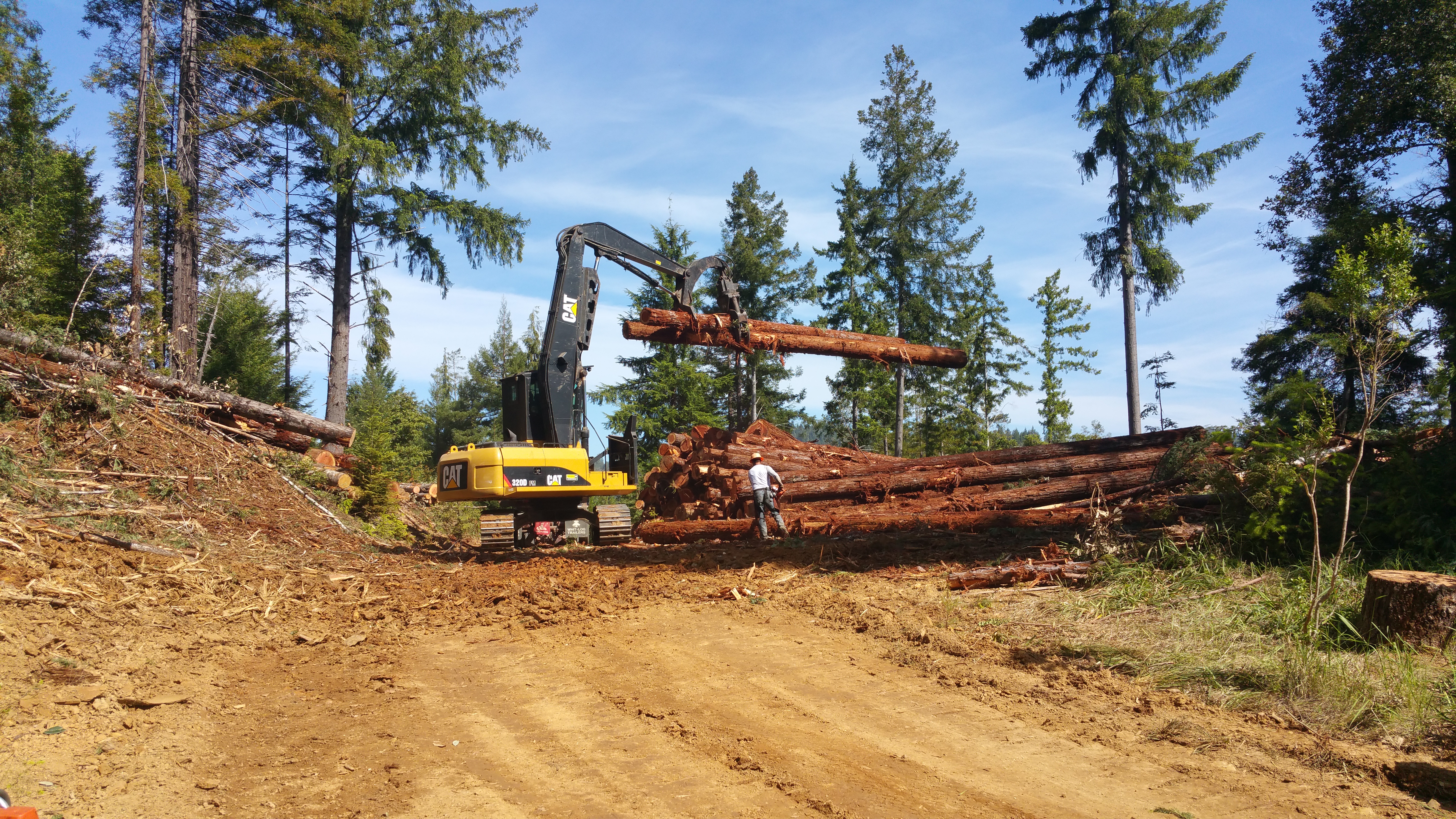 20170510_101516 Lyme Timber