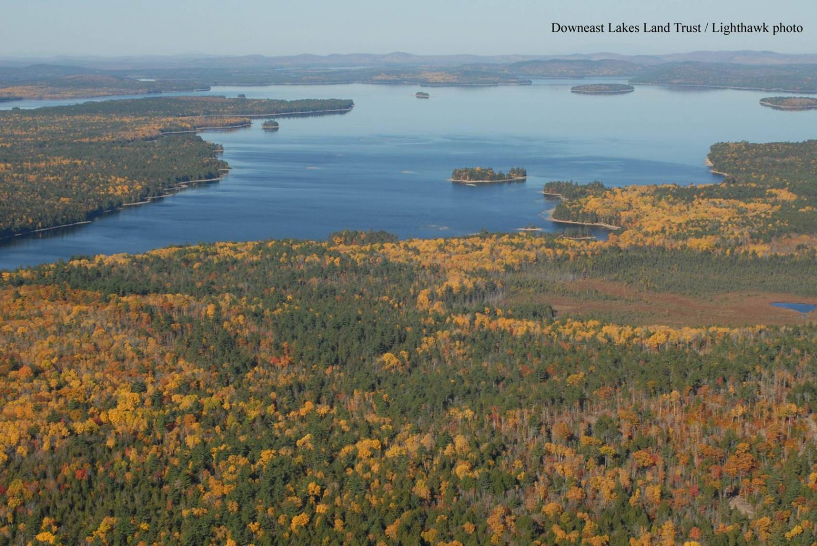 GLS Aerial 1 Lyme Timber