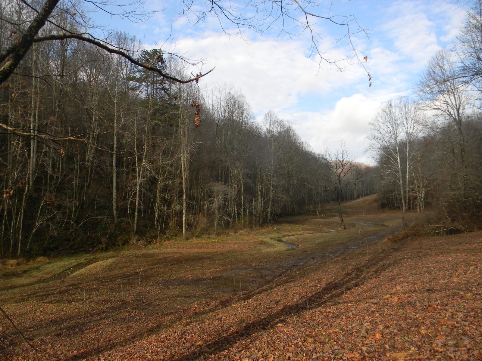 Kincheloe 12716 075 Lyme Timber