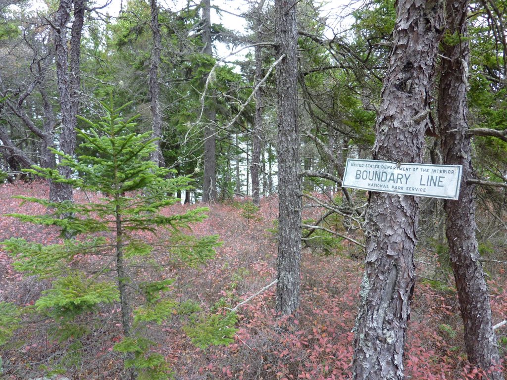 P1020198 Lyme Timber