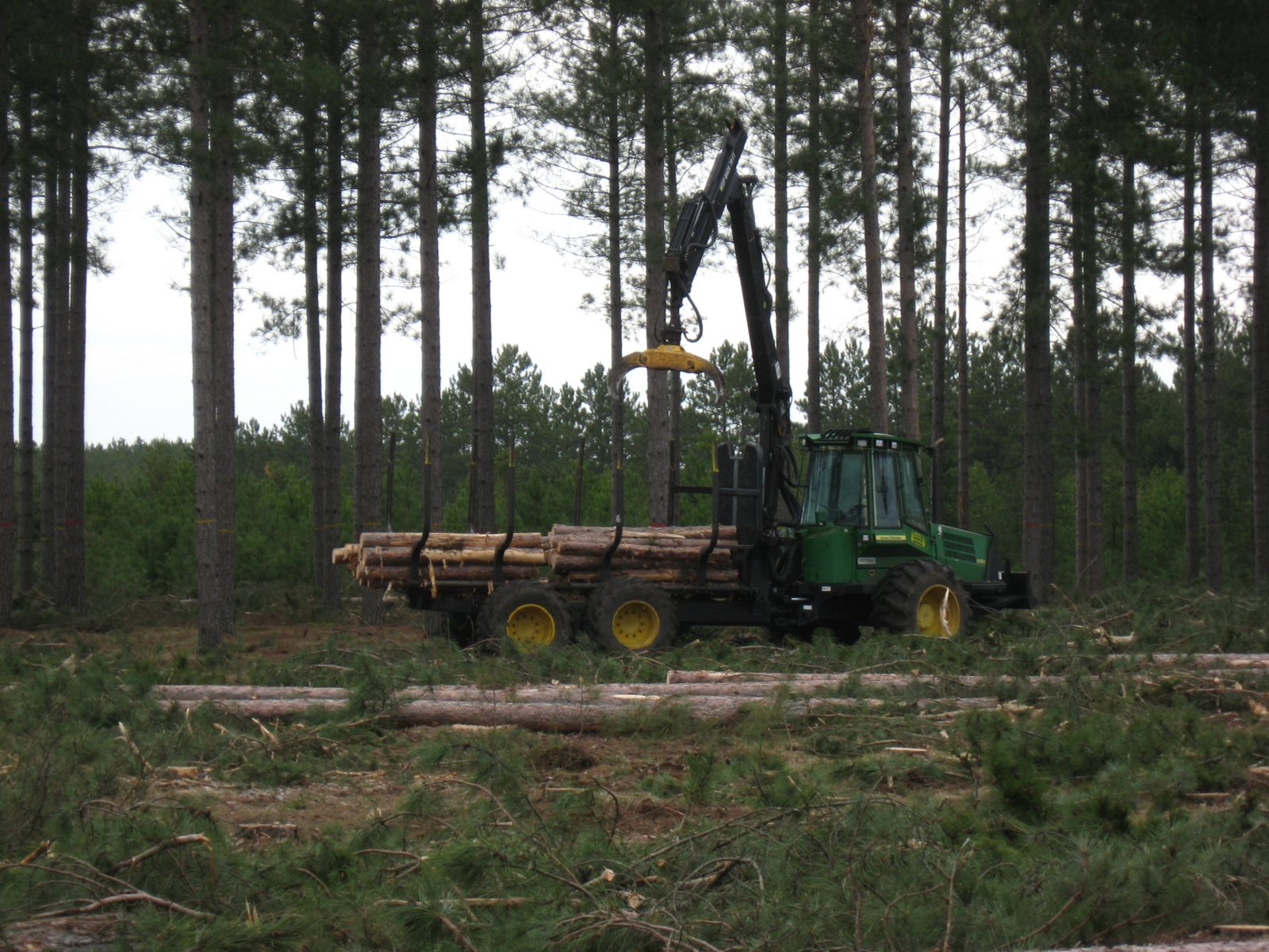 St Croix Spring 2012 026 Lyme Timber